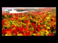 Serenade to Spring - Secret Garden (versión ...