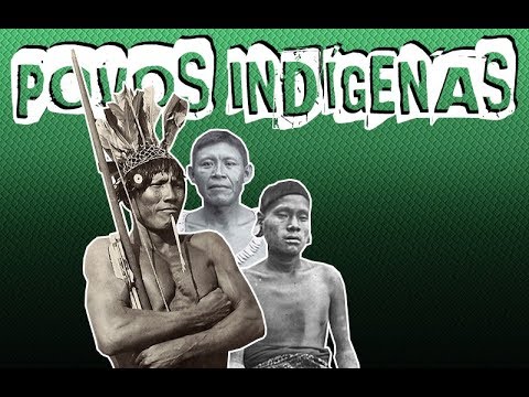 POVOS INDÍGENAS NO BRASIL - Aula 01