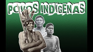 POVOS INDÍGENAS NO BRASIL - Aula 01