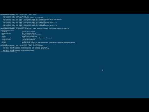 12 PicOS Static OSPF Routing