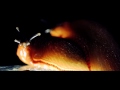 Glass Animals - Cocoa Hooves OFFICIAL VIDEO ...