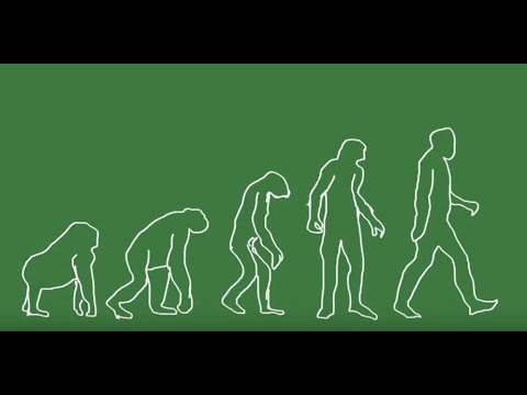 CACM Nov. 2016 - "Sex as an Algorithm"