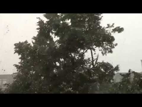 2015.07.08. Vihar Zuglóban