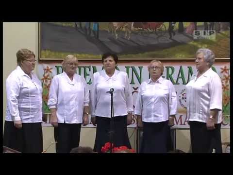 Ljudske pevke - Pred hiško sedim