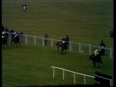 1976 Piper Champagne Cheltenham Gold Cup Chase