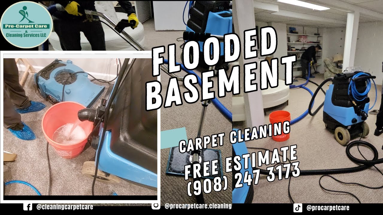 Flooded Basement /water damage -  Livingston NJ