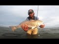 Wade Fishing Oso Bay | Topwater Redfish