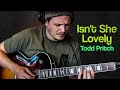 Isn't She Lovely (Neosoul Guitar) - Todd Pritch