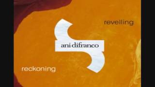Ani Di Franco - Subdivision