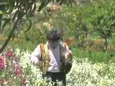 OSITO DEL AMOR - MI CHIQUITIN.flv