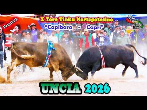X Toro Tinku Norte Potosino UNCIA 2026 Encuentro:"Capri-Capibara". (Video Oficial) de ALPRO BO.