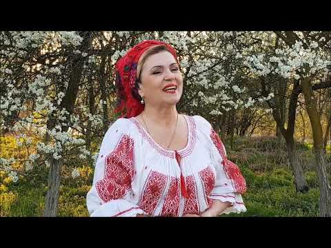 Videoclip Nicoleta Voica-Bagiu - Petrece cu Bănățanu'