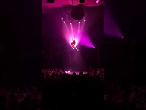 Hilton & Penelope Aerial/Acrobat 1
