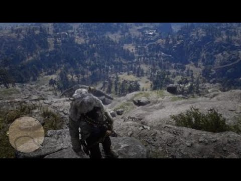 Red Dead Redemption 2 #115 - Zwiedzanie, zbugowane ptaki, piękne widoki