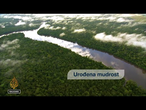 Urođena mudrost | Rađanje zemlje