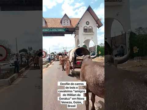 Primeiro #desfile de #carrosdebois , "Amigos do Willian da Geraluz", em Nova Veneza, Goiás. Brasil.