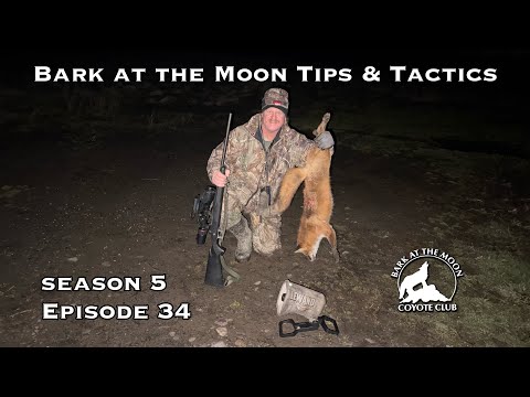 Bark at the Moon Tips & Tactics Ep 34