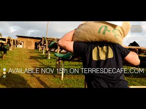 [PROJET] Contest Coffee Project  | Terres de Café