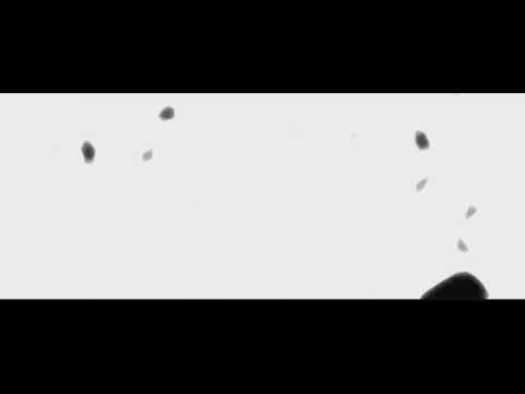 $UICIDEBOY$ X DRAGON BALL SUPER // A REAL HORROR $HOW