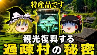 過疎地の村を調べてたら未知の巨大生物の謎を暴いてしまった【ゆっくり実況ミステリーARG】【久木村観光復興サイト】【ゆっくり実況プレイ】