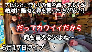 9月17日ライブ　フィリピン・パラワン島から