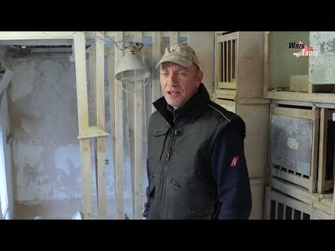 WHZB/TBOTB 2019 Winners - 1st Acepigeon 1-day long distance: Marco Kerkhof,  Emmerich (with Eng sub)