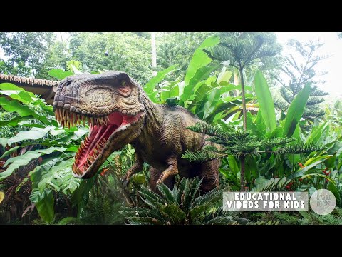 Carnivore vs Herbivore Dinosaurs | Dinosaur Diets