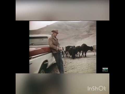 Thumbnail for 1976 Ford Pickup Commercials