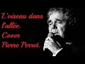 l'oiseau dans l'allée Cover Pierre Perret avec paroles et accords.