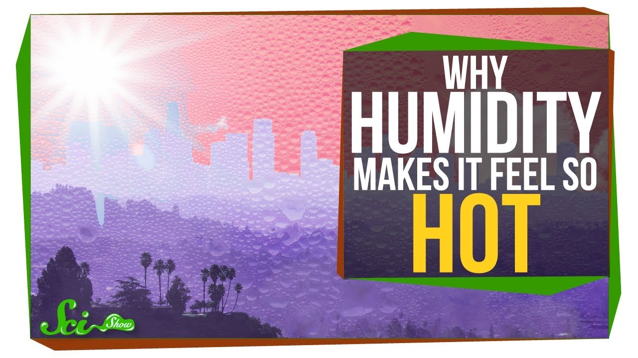 Why is warm air more humid?