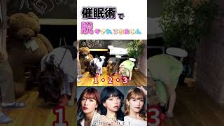 催眠術恐るべし..　#sherbet #橋本梨菜 #青山ひかる #河路由希子 #催眠術師Dai #shorts