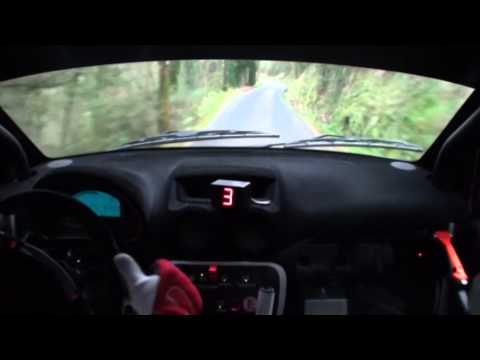 Rally del Carnevale 2014  Salotti - Brugiati  Citroen C2 A/6