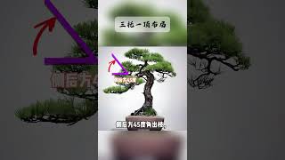 Download lagu The History and Evolution of Chinese Orchid Bonsai: A Journey Through Time #bonsai #winatabonsai mp3