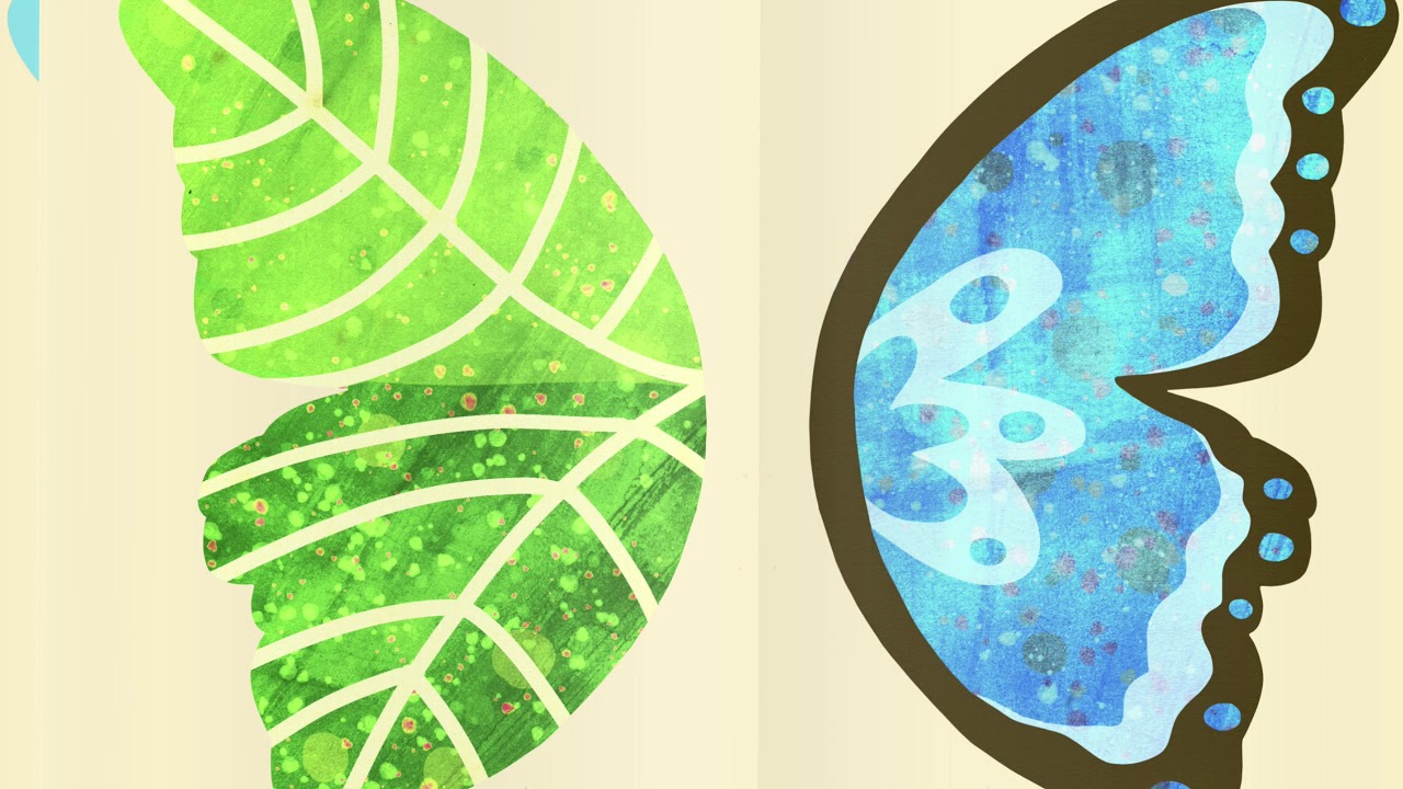 Taylor McCormick - BUTTER