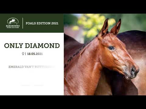 BHA Foals Edition 2021: Only Diamond (Emerald x Diarado)