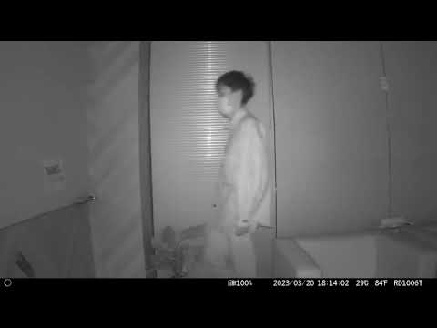 置くだけ簡単「トレイル防犯カメラ」 AUTMTSHNA THANKO｜サンコー 通販