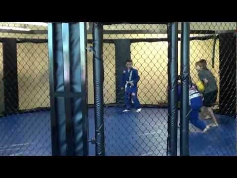 download lagu mp3 mp4 Octagon Cage For Sale, download lagu Octagon Cage For Sale gratis, unduh video klip Octagon Cage For Sale