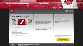 How to get Adobe Flash Player for Mac (NEW UPDATED TUTORIAL ON SCREEN)