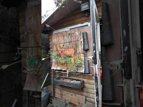 the Alchemists Garden