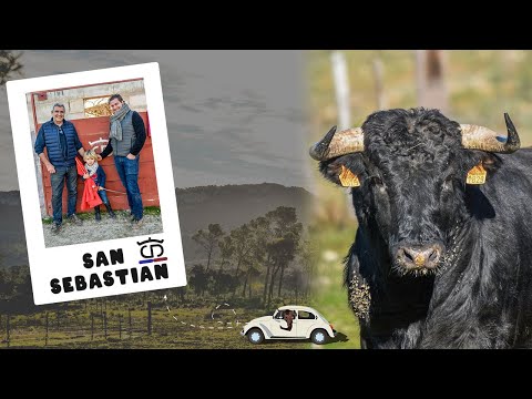 REPORTAJE | GANADERIA SAN SEBASTIAN