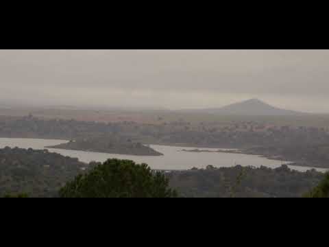 Poema 14,  Pablo Neruda