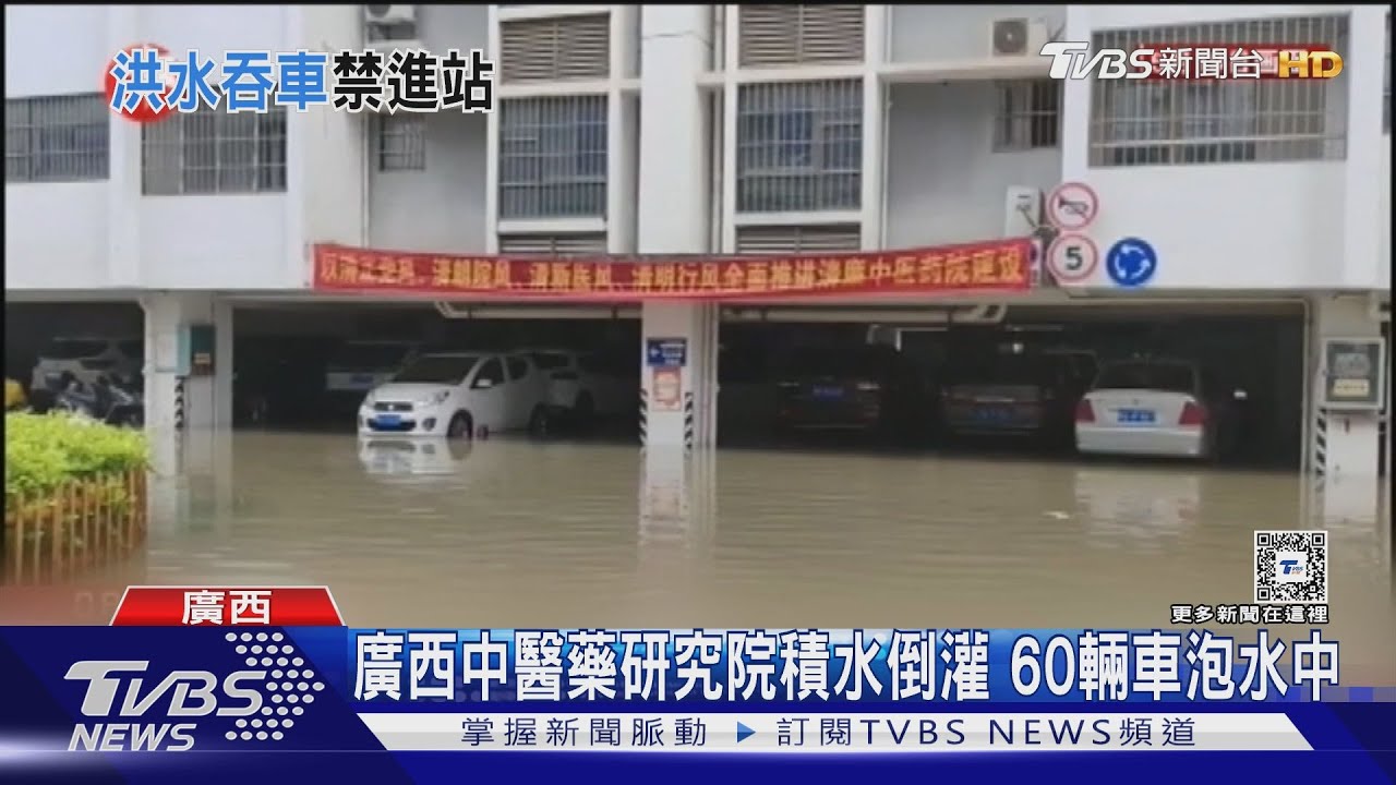 廣西市區馬路變河流!民眾上街搶撈活魚 男子划船買午餐