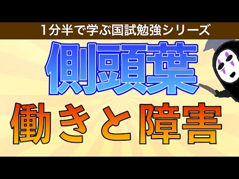 側頭葉てんかん