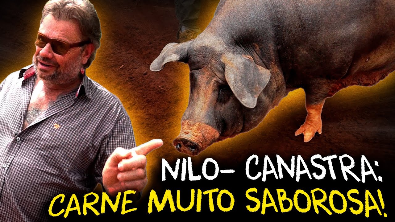 PORCO NILO-CANASTRA: UMA CARNE ÚNICA E SABOROSA!