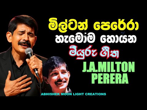 J.A.MILTON PERERA #shorts viral #shorts music #shorts feed  shorts #sl band  #dj remixes #dj nonstop