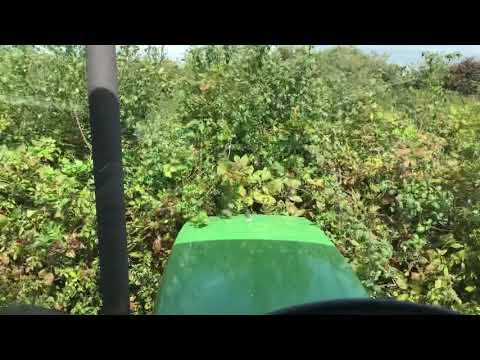 Extreme topping with John Deere 6310