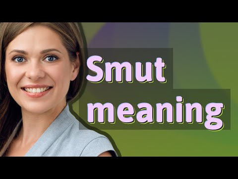 Smut | meaning of Smut