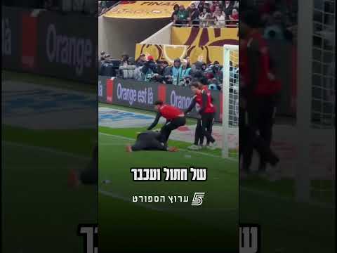 מרוקו VS המגבת🤣 הכל על הסיפור הקורע של גמר אליפות אפריקה🗣️