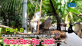 Download lagu Cara Buang Liar Merbuk Baru Ajar Jebak_ Part 2 mp3 Download lagu Cara Buang Liar Merbuk Baru Ajar Jebak_ Part 2 mp3