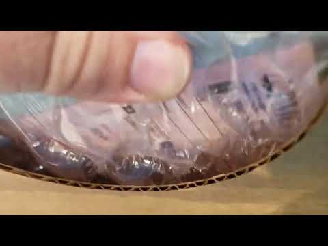 PMG Submission Reveal (June 2023)